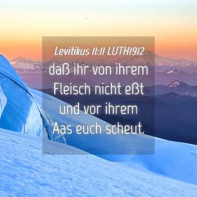 Picture 04 - Levitikus 11:11 LUTH1912 - daß ihr von ihrem Fleisch nicht eßt und vor - Bible Verse Picture