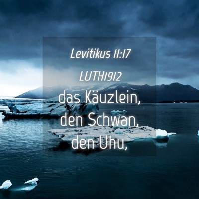 Picture 04 - Levitikus 11:17 LUTH1912 - das Käuzlein, den Schwan, den - Bible Verse Picture