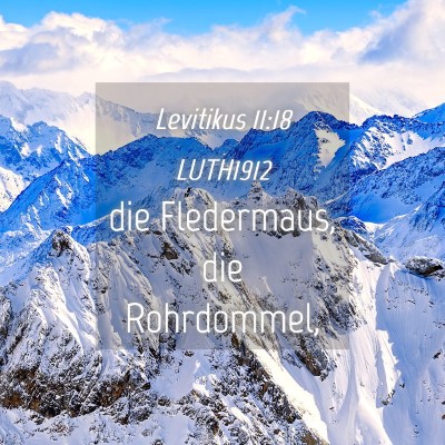 Picture 04 - Levitikus 11:18 LUTH1912 - die Fledermaus, die - Bible Verse Picture