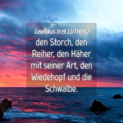 Picture 04 - Levitikus 11:19 LUTH1912 - den Storch, den Reiher, den Häher mit seiner - Bible Verse Picture