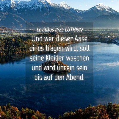 Picture 04 - Levitikus 11:25 LUTH1912 - Und wer dieser Aase eines tragen wird, soll seine - Bible Verse Picture