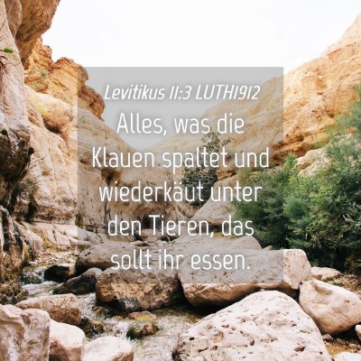 Picture 04 - Levitikus 11:3 LUTH1912 - Alles, was die Klauen spaltet und wiederkäut - Bible Verse Picture