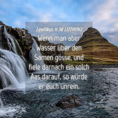 Picture 04 - Levitikus 11:38 LUTH1912 - Wenn man aber Wasser über den Samen gösse, und - Bible Verse Picture