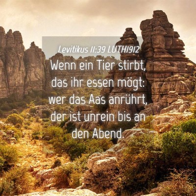 Picture 04 - Levitikus 11:39 LUTH1912 - Wenn ein Tier stirbt, das ihr essen mögt: wer - Bible Verse Picture