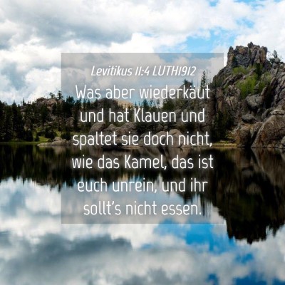 Picture 04 - Levitikus 11:4 LUTH1912 - Was aber wiederkäut und hat Klauen und spaltet - Bible Verse Picture