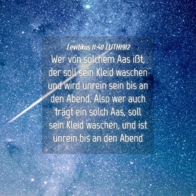 Picture 04 - Levitikus 11:40 LUTH1912 - Wer von solchem Aas ißt, der soll sein Kleid - Bible Verse Picture