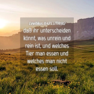 Picture 04 - Levitikus 11:47 LUTH1912 - daß ihr unterscheiden könnt, was unrein und - Bible Verse Picture