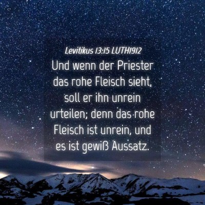 Picture 04 - Levitikus 13:15 LUTH1912 - Und wenn der Priester das rohe Fleisch sieht, - Bible Verse Picture