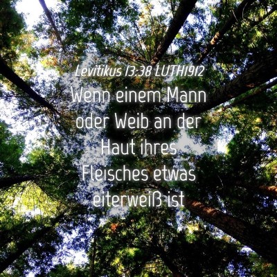 Picture 04 - Levitikus 13:38 LUTH1912 - Wenn einem Mann oder Weib an der Haut ihres - Bible Verse Picture