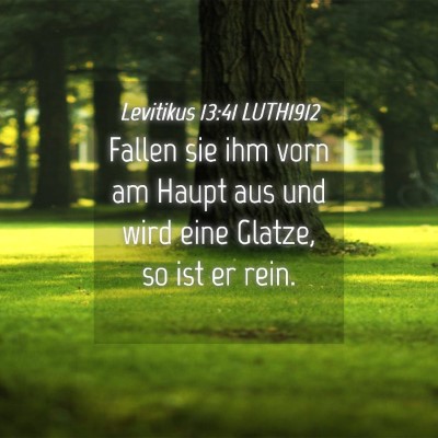 Picture 04 - Levitikus 13:41 LUTH1912 - Fallen sie ihm vorn am Haupt aus und wird eine - Bible Verse Picture