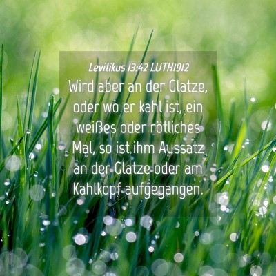 Picture 04 - Levitikus 13:42 LUTH1912 - Wird aber an der Glatze, oder wo er kahl ist, ein - Bible Verse Picture