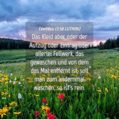 Picture 04 - Levitikus 13:58 LUTH1912 - Das Kleid aber oder der Aufzug oder Eintrag oder - Bible Verse Picture