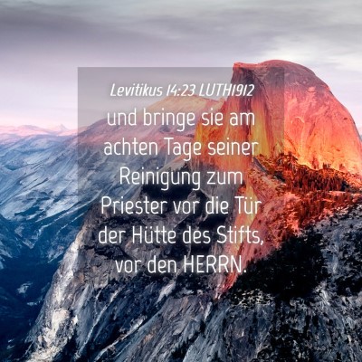 Picture 04 - Levitikus 14:23 LUTH1912 - und bringe sie am achten Tage seiner Reinigung - Bible Verse Picture