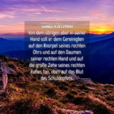 Picture 04 - Levitikus 14:28 LUTH1912 - Von dem übrigen aber in seiner Hand soll er dem - Bible Verse Picture