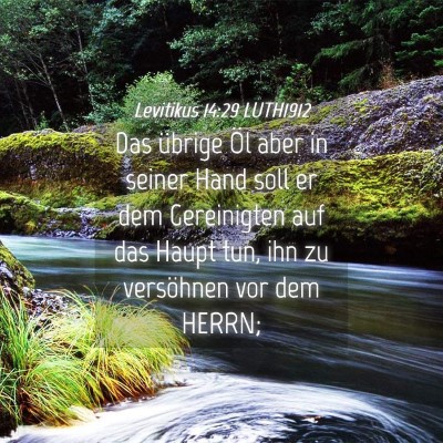 Picture 04 - Levitikus 14:29 LUTH1912 - Das übrige Öl aber in seiner Hand soll er dem - Bible Verse Picture