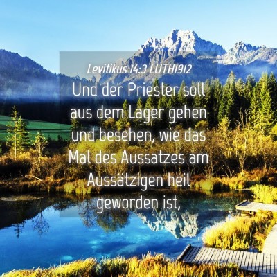 Picture 04 - Levitikus 14:3 LUTH1912 - Und der Priester soll aus dem Lager gehen und - Bible Verse Picture