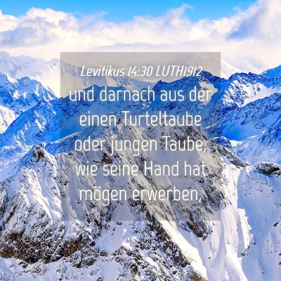 Picture 04 - Levitikus 14:30 LUTH1912 - und darnach aus der einen Turteltaube oder jungen - Bible Verse Picture