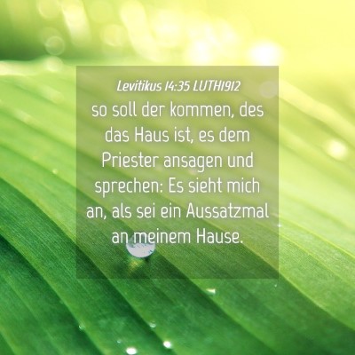 Picture 04 - Levitikus 14:35 LUTH1912 - so soll der kommen, des das Haus ist, es dem - Bible Verse Picture