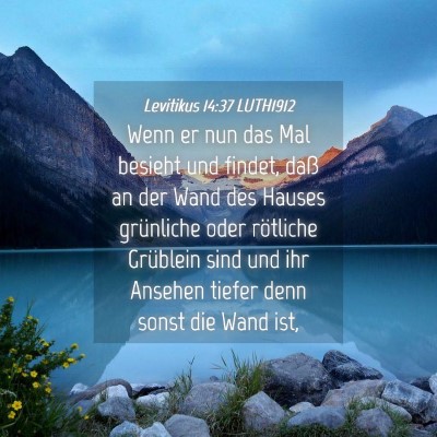 Picture 04 - Levitikus 14:37 LUTH1912 - Wenn er nun das Mal besieht und findet, daß an - Bible Verse Picture