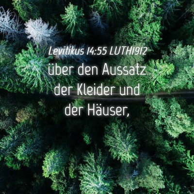 Picture 04 - Levitikus 14:55 LUTH1912 - über den Aussatz der Kleider und der - Bible Verse Picture