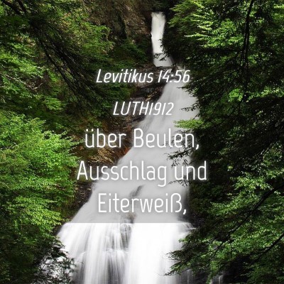 Picture 04 - Levitikus 14:56 LUTH1912 - über Beulen, Ausschlag und - Bible Verse Picture