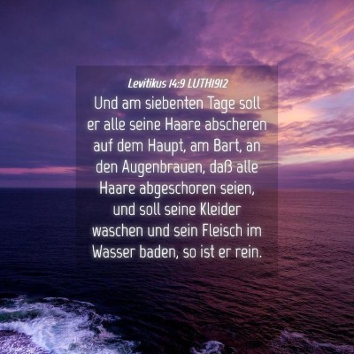Picture 04 - Levitikus 14:9 LUTH1912 - Und am siebenten Tage soll er alle seine Haare - Bible Verse Picture