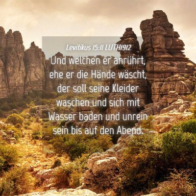 Picture 04 - Levitikus 15:11 LUTH1912 - Und welchen er anrührt, ehe er die Hände - Bible Verse Picture