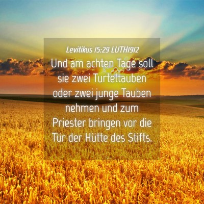 Picture 04 - Levitikus 15:29 LUTH1912 - Und am achten Tage soll sie zwei Turteltauben - Bible Verse Picture