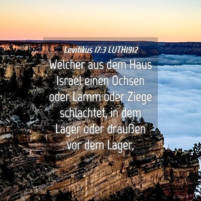 Picture 04 - Levitikus 17:3 LUTH1912 - Welcher aus dem Haus Israel einen Ochsen oder - Bible Verse Picture