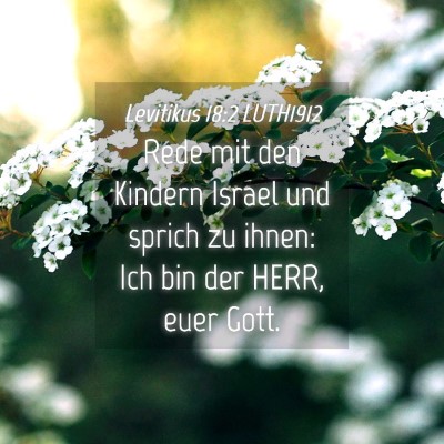 Picture 04 - Levitikus 18:2 LUTH1912 - Rede mit den Kindern Israel und sprich zu ihnen: - Bible Verse Picture