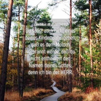 Picture 04 - Levitikus 18:21 LUTH1912 - Du sollst auch nicht eines deiner Kinder - Bible Verse Picture
