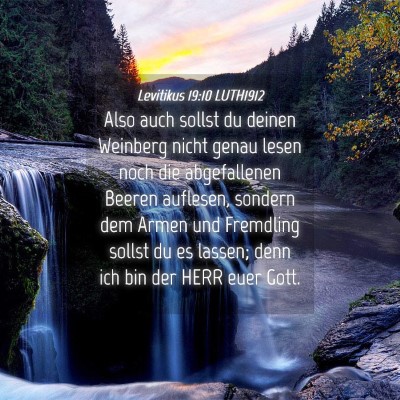 Picture 04 - Levitikus 19:10 LUTH1912 - Also auch sollst du deinen Weinberg nicht genau - Bible Verse Picture