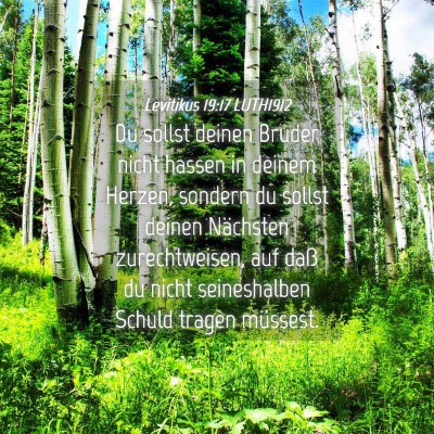 Picture 04 - Levitikus 19:17 LUTH1912 - Du sollst deinen Bruder nicht hassen in deinem - Bible Verse Picture