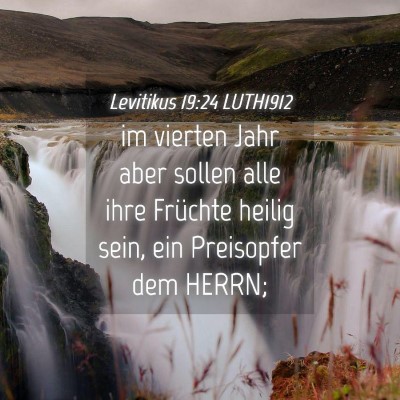 Picture 04 - Levitikus 19:24 LUTH1912 - im vierten Jahr aber sollen alle ihre Früchte - Bible Verse Picture
