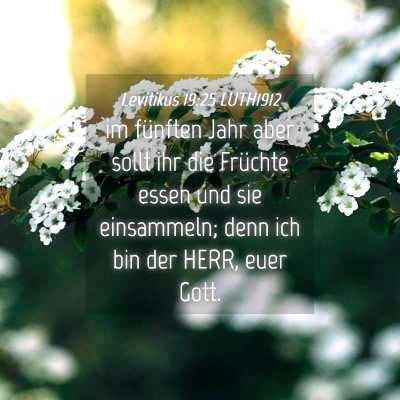 Picture 04 - Levitikus 19:25 LUTH1912 - im fünften Jahr aber sollt ihr die Früchte - Bible Verse Picture