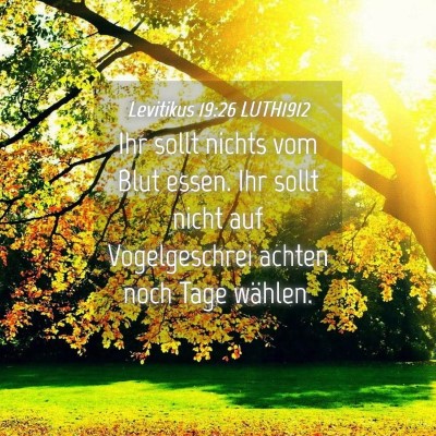 Picture 04 - Levitikus 19:26 LUTH1912 - Ihr sollt nichts vom Blut essen. Ihr sollt nicht - Bible Verse Picture
