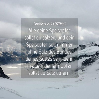 Picture 04 - Levitikus 2:13 LUTH1912 - Alle deine Speisopfer sollst du salzen, und dein - Bible Verse Picture
