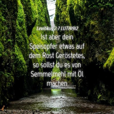 Picture 04 - Levitikus 2:7 LUTH1912 - Ist aber dein Speisopfer etwas auf dem Rost - Bible Verse Picture