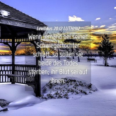 Picture 04 - Levitikus 20:12 LUTH1912 - Wenn jemand bei seiner Schwiegertochter schläft, - Bible Verse Picture