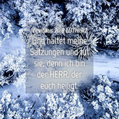 Picture 04 - Levitikus 20:8 LUTH1912 - Und haltet meine Satzungen und tut sie; denn ich - Bible Verse Picture