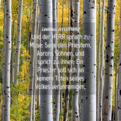Picture 04 - Levitikus 21:1 LUTH1912 - Und der HERR sprach zu Mose: Sage den Priestern, - Bible Verse Picture