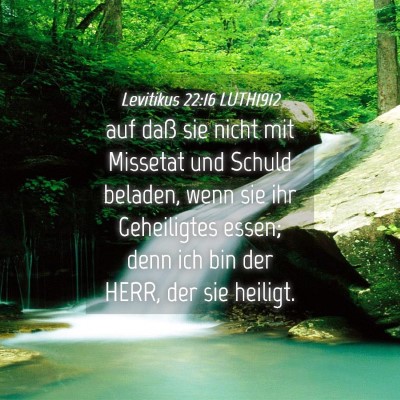 Picture 04 - Levitikus 22:16 LUTH1912 - auf daß sie nicht mit Missetat und Schuld - Bible Verse Picture