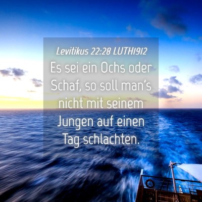 Picture 04 - Levitikus 22:28 LUTH1912 - Es sei ein Ochs oder Schaf, so soll man's nicht - Bible Verse Picture