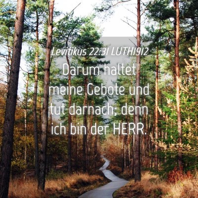 Picture 04 - Levitikus 22:31 LUTH1912 - Darum haltet meine Gebote und tut darnach; denn - Bible Verse Picture