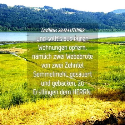 Picture 04 - Levitikus 23:17 LUTH1912 - und sollt's aus euren Wohnungen opfern, nämlich - Bible Verse Picture