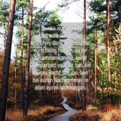 Picture 04 - Levitikus 23:21 LUTH1912 - Und sollt diesen Tag ausrufen; denn er soll unter - Bible Verse Picture