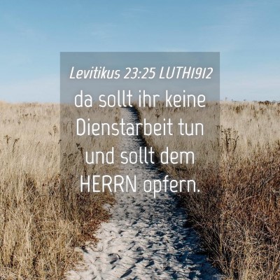 Picture 04 - Levitikus 23:25 LUTH1912 - da sollt ihr keine Dienstarbeit tun und sollt dem - Bible Verse Picture
