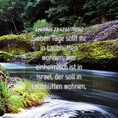 Picture 04 - Levitikus 23:42 LUTH1912 - Sieben Tage sollt ihr in Laubhütten wohnen; wer - Bible Verse Picture