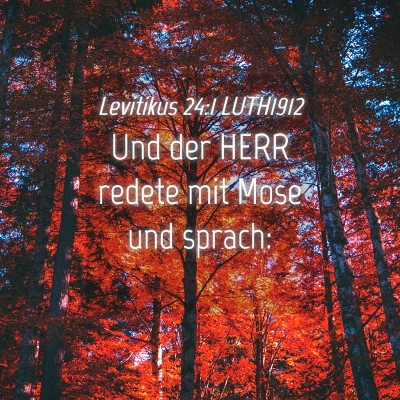 Picture 04 - Levitikus 24:1 LUTH1912 - Und der HERR redete mit Mose und - Bible Verse Picture