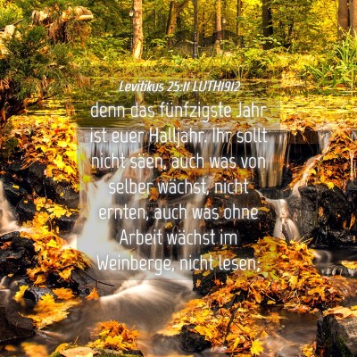 Picture 04 - Levitikus 25:11 LUTH1912 - denn das fünfzigste Jahr ist euer Halljahr. Ihr - Bible Verse Picture